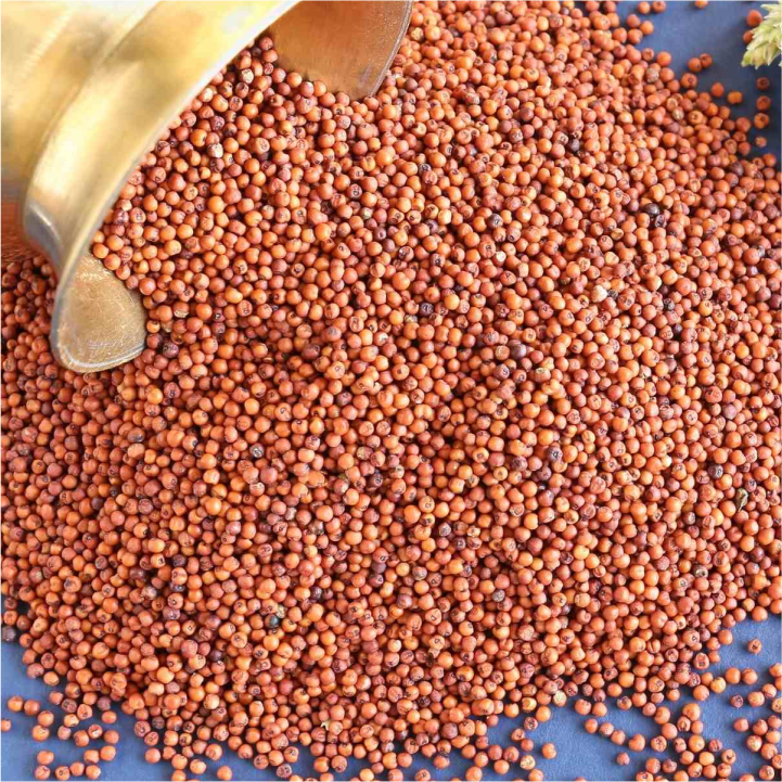 Ragi