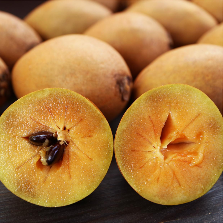 Sapodilla (Chikoo)