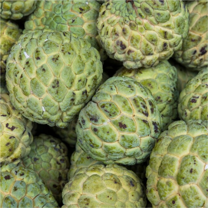 Custard Apple (Sitaphal)