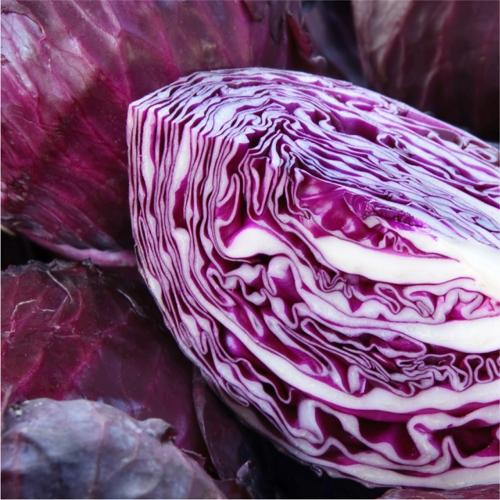 Red Cabbage