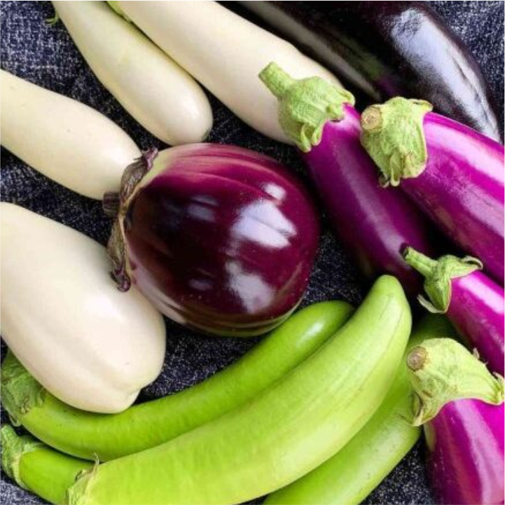 Brinjal