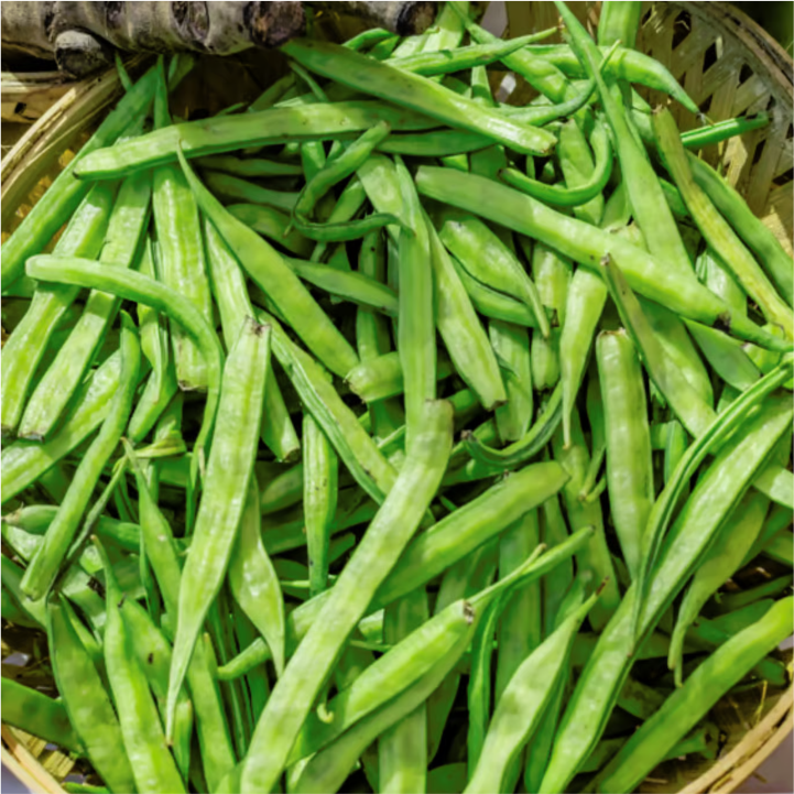 Cluster Beans (Gawar)