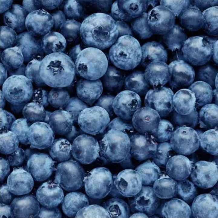 Blueberry