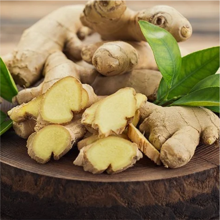 Ginger