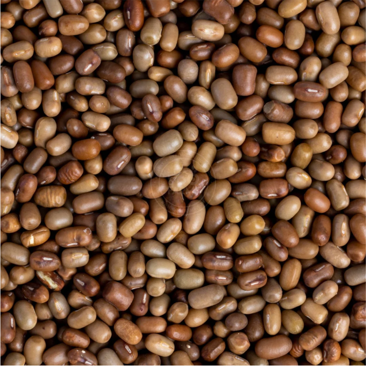 Moth Beans