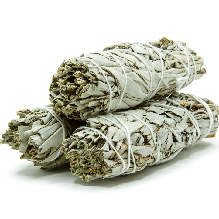 Sage