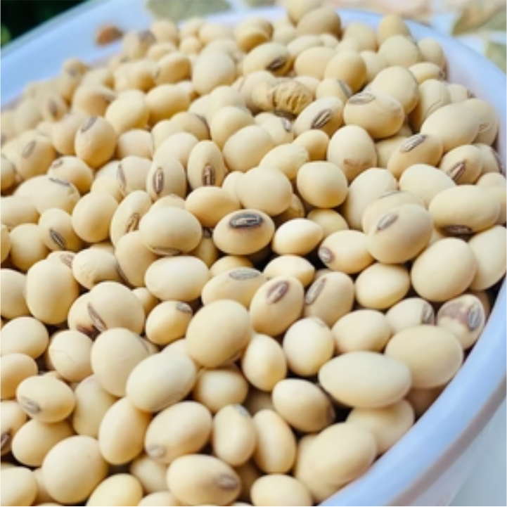 Soybeans