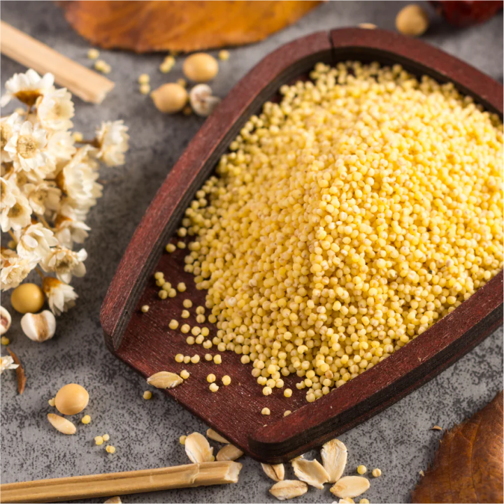 Kodo Millet